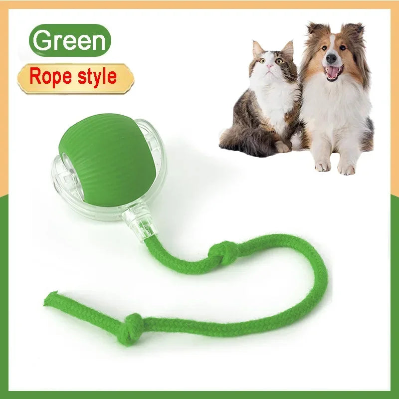 ChaseBuddy Smart Ball