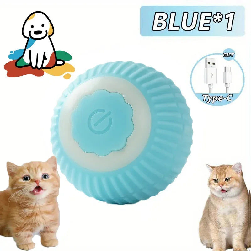 ChaseBuddy Smart Ball