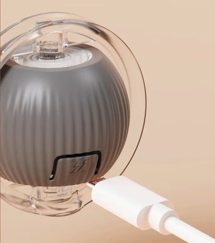 ChaseBuddy Smart Ball