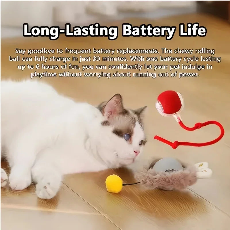 ChaseBuddy Smart Ball