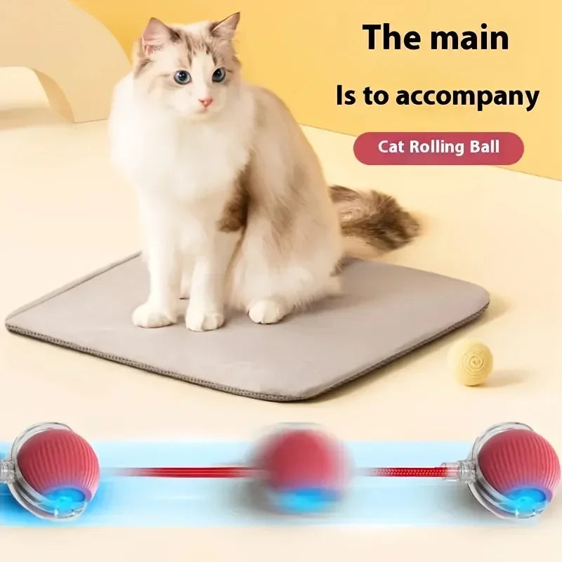 ChaseBuddy Smart Ball